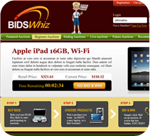 BidsWhiz Case Study