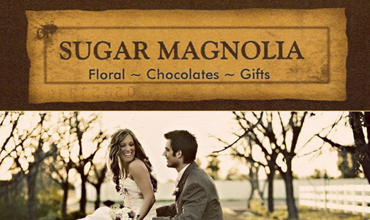 Sugar Magnolia