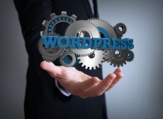 WordPress Mistakes Small Businesses Often Make that Can Doom their Site