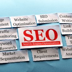 Search Engine Optimization – The Pillar Of a Successful Website