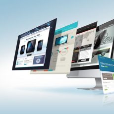 Custom Website Design & Development Services