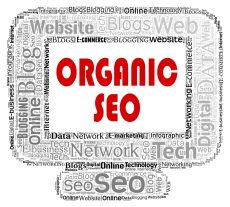 Increase Organic Traffic with a Blog