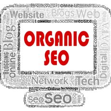 Increase Organic Traffic with a Blog