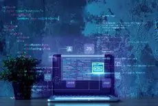 Phoenix Web Developers: How to Future-Proof Your Website