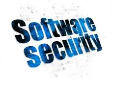 Custom software security phoenix